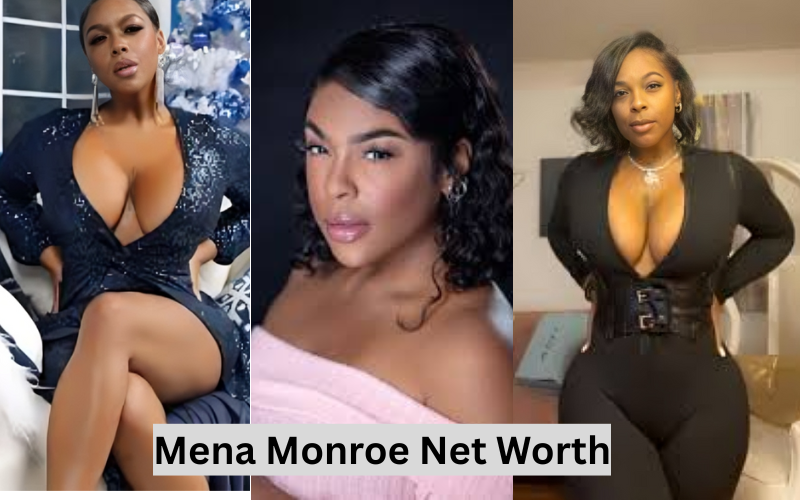 Mena Monroe Net Worth